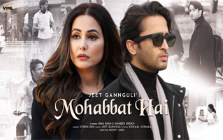 Mohabbat Hai Song Lyrics