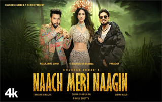 Naach Meri Naagin Song Lyrics