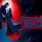 तुम मेरे ना हुये ना सही Tum Mere Na Huye Na Sahi Song Lyrics- Thamma