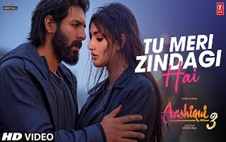 Tu meri zindagi hai Song Lyrics