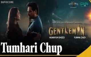 Tumhari Chup Song Lyrics